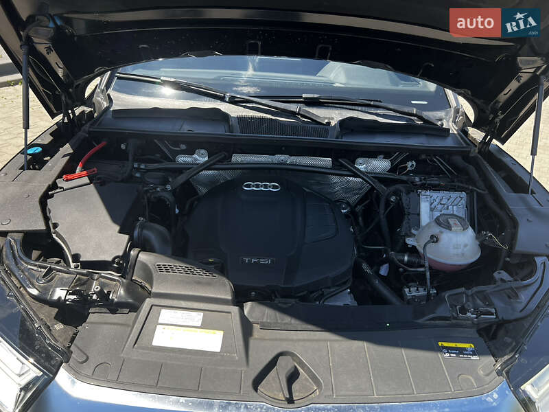 Внедорожник / Кроссовер Audi Q5 2019 в Ивано-Франковске