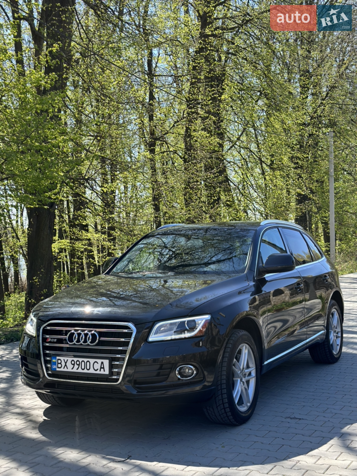 2013 Audi Q5 - мініатюра 5