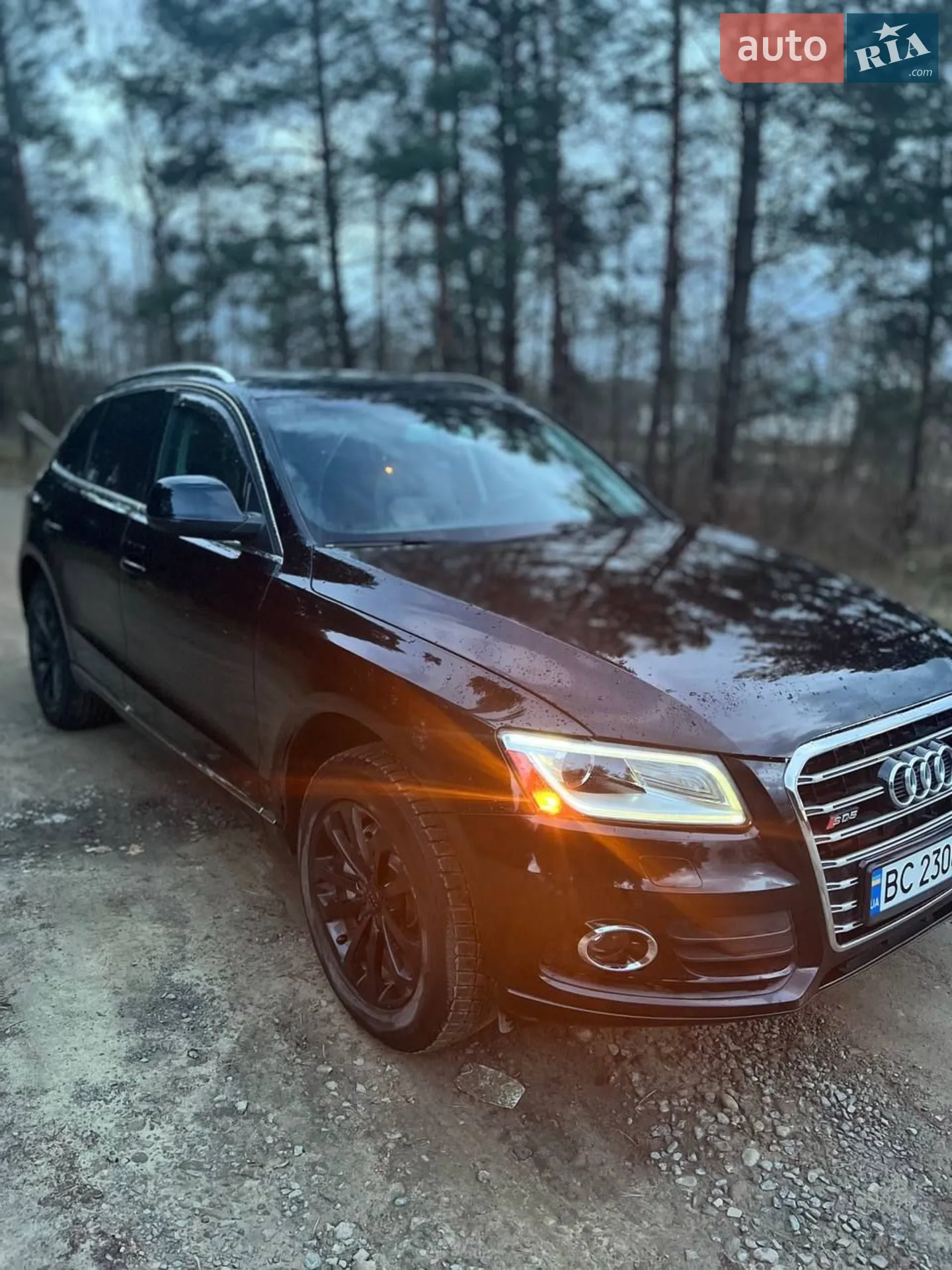 2013 Audi Q5 - мініатюра 4