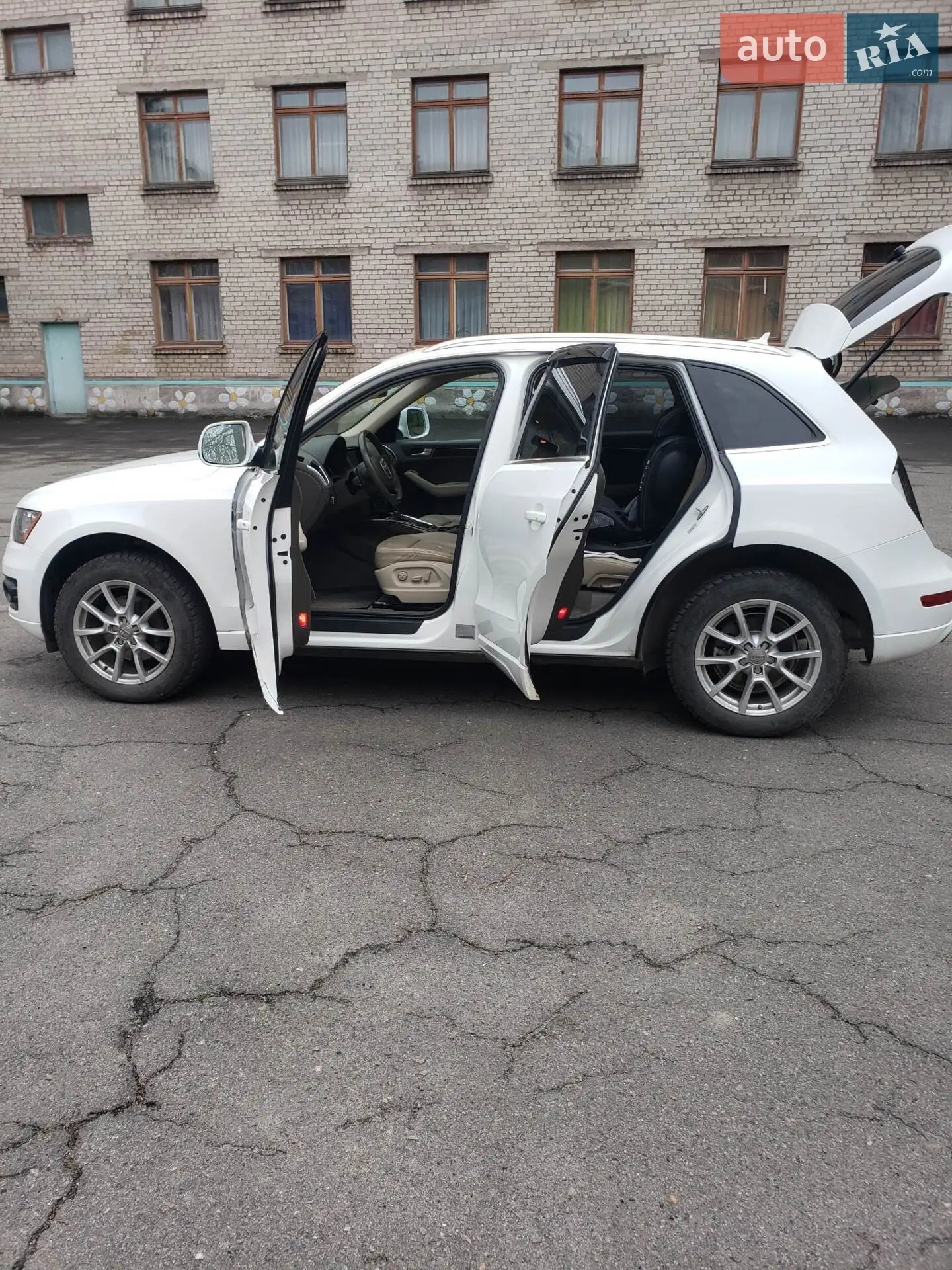 2010 Audi Q5 - мініатюра 3
