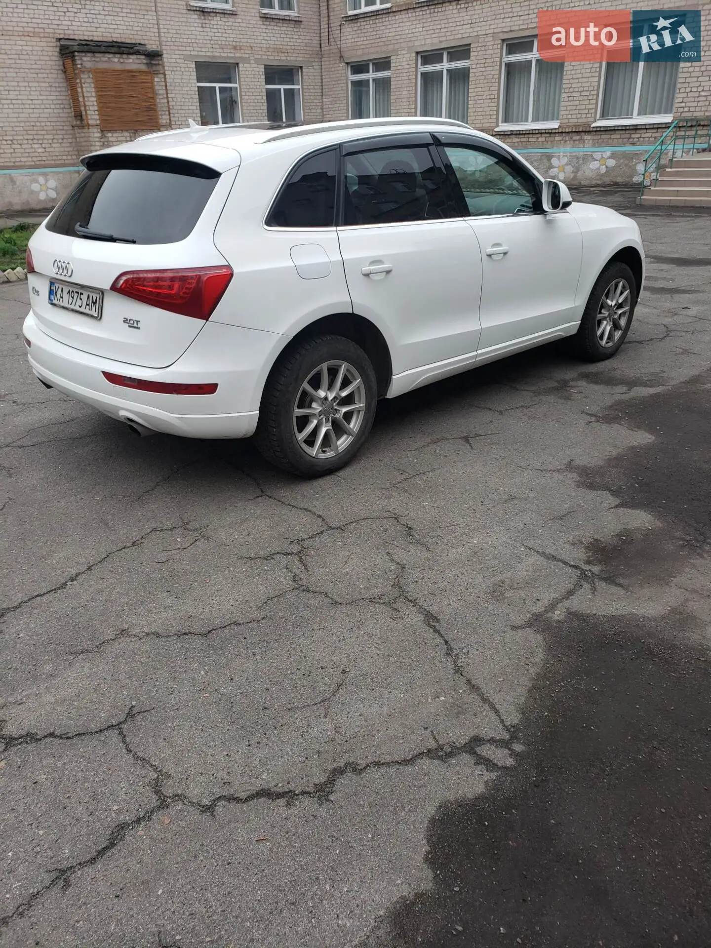 2010 Audi Q5 - мініатюра 4