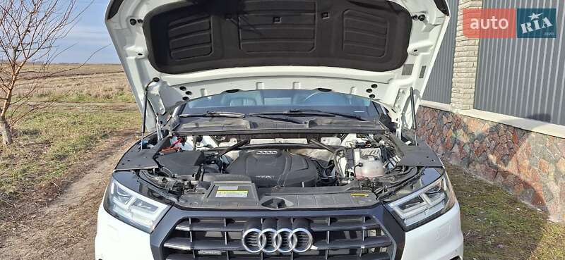 Внедорожник / Кроссовер Audi Q5 2019 в Фастове