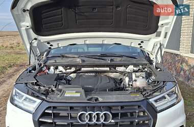 Внедорожник / Кроссовер Audi Q5 2019 в 