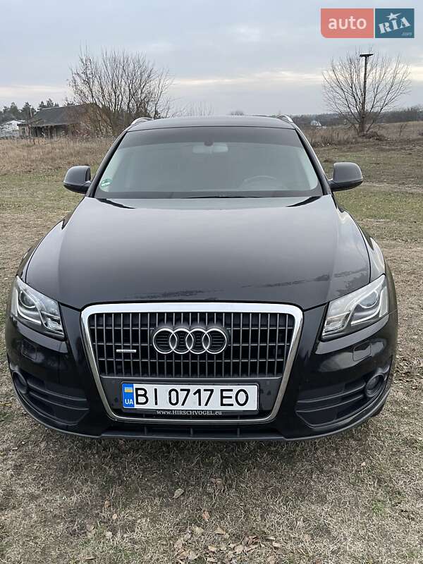 Внедорожник / Кроссовер Audi Q5 2009 в Лохвице