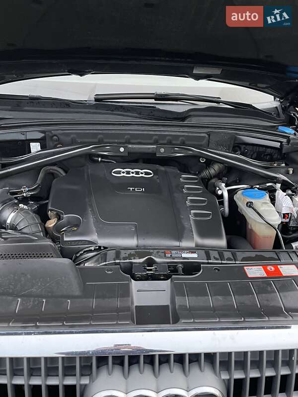 Внедорожник / Кроссовер Audi Q5 2009 в Лохвице