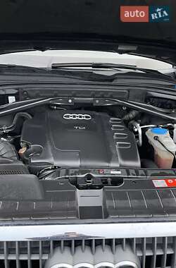 Внедорожник / Кроссовер Audi Q5 2009 в 