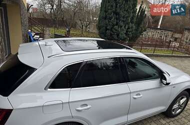 Внедорожник / Кроссовер Audi Q5 2021 в 