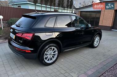 Внедорожник / Кроссовер Audi Q5 2019 в Житомире