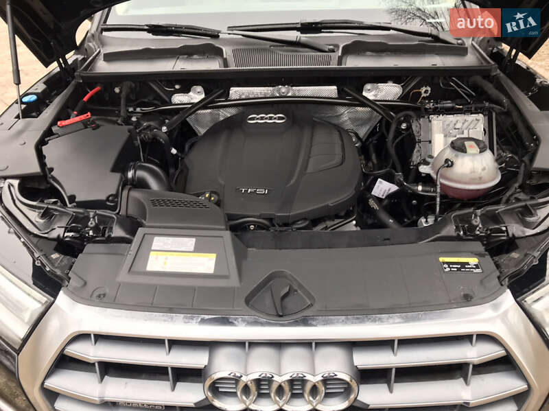 Внедорожник / Кроссовер Audi Q5 2019 в Киеве