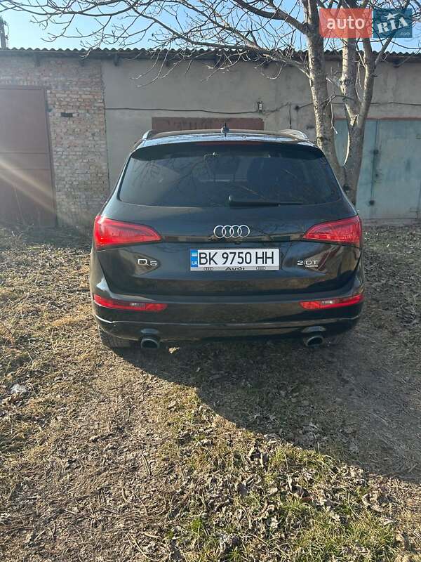 Внедорожник / Кроссовер Audi Q5 2013 в Бродах