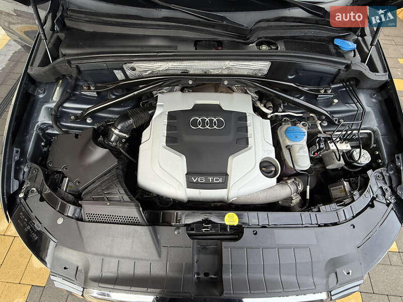 Внедорожник / Кроссовер Audi Q5 2009 в Солотвине фото 27 Внедорожник / Кроссовер Audi Q5 2009 в Солотвине