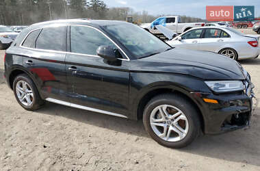 Внедорожник / Кроссовер Audi Q5 2019 в 
