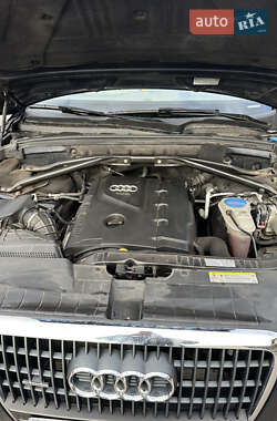 Внедорожник / Кроссовер Audi Q5 2010 в 