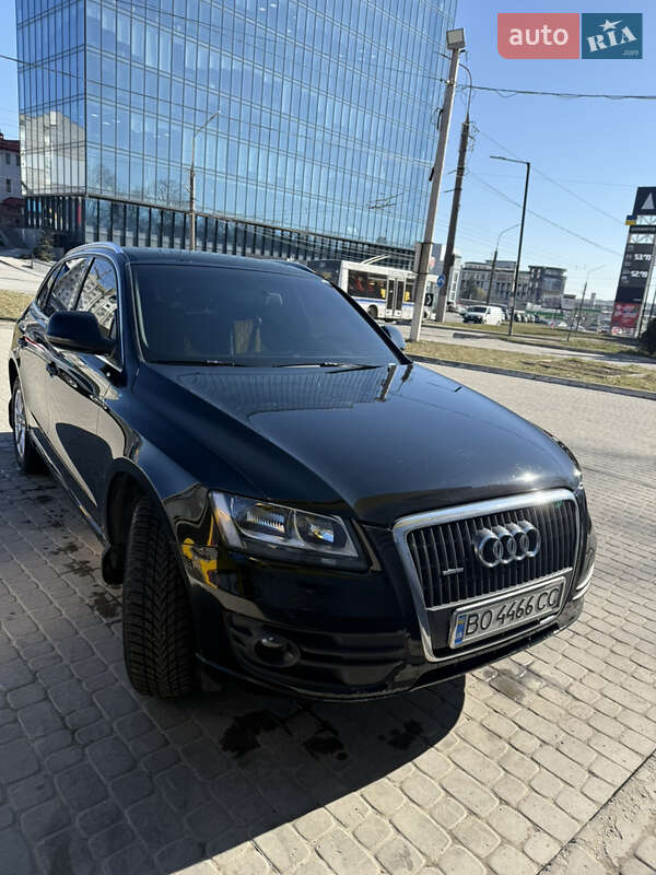 Внедорожник / Кроссовер Audi Q5 2010 в Тернополе фото 17 Внедорожник / Кроссовер Audi Q5 2010 в Тернополе