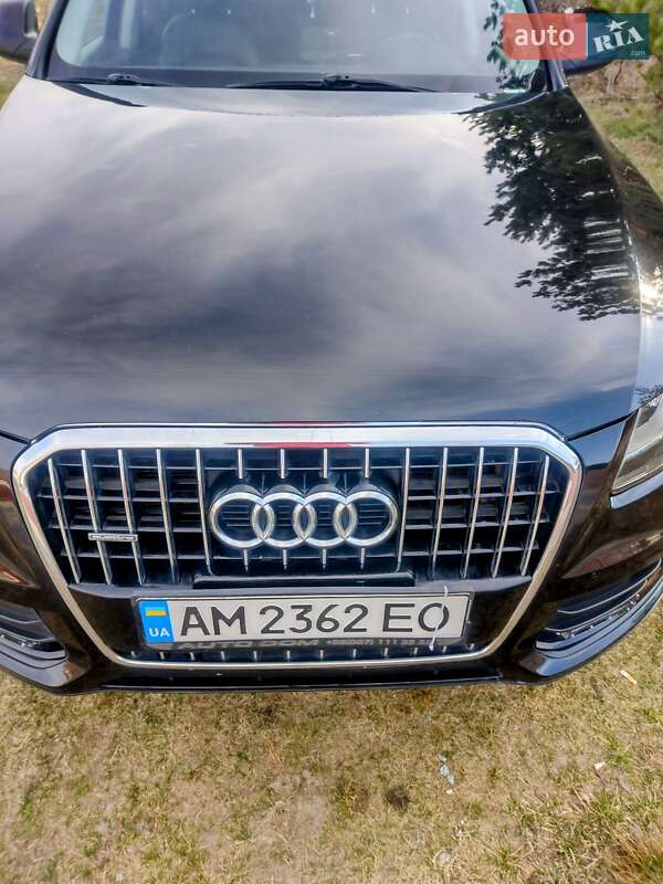 Позашляховик / Кросовер Audi Q5 2012 в Житомирі фото 14 Позашляховик / Кросовер Audi Q5 2012 в Житомирі