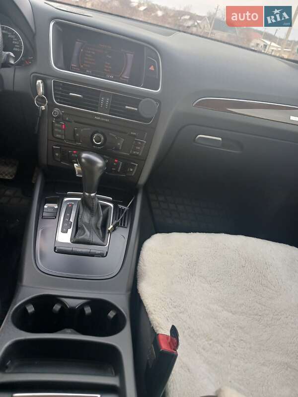Внедорожник / Кроссовер Audi Q5 2009 в Городке