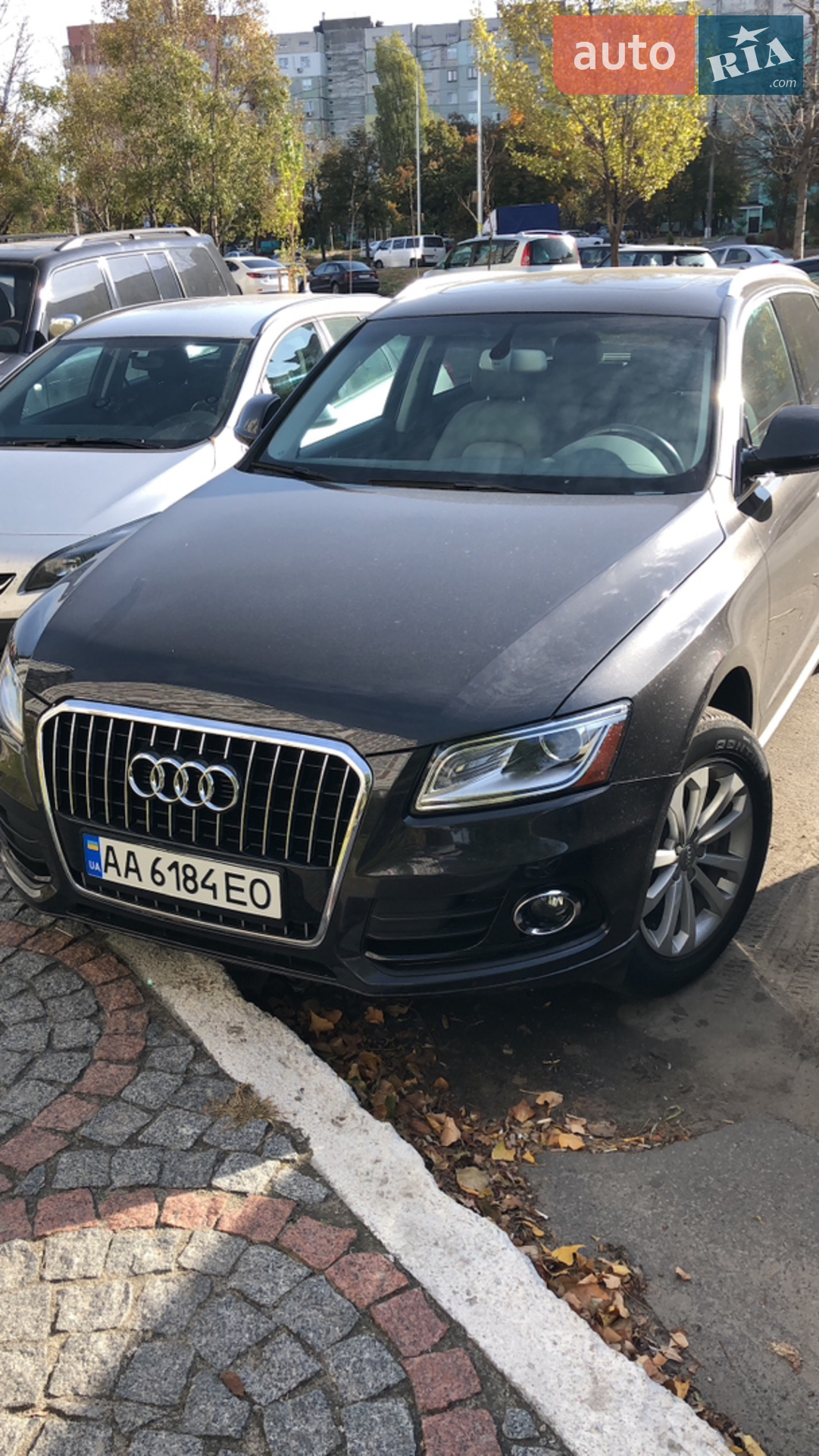 2016 Audi Q5 - фото 1
