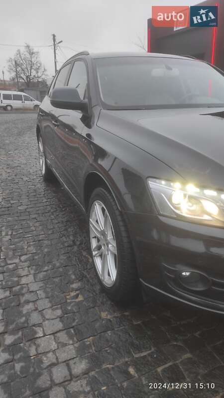 Внедорожник / Кроссовер Audi Q5 2009 в Чернигове фото 6 Внедорожник / Кроссовер Audi Q5 2009 в Чернигове