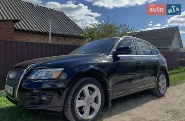 Внедорожник / Кроссовер Audi Q5 2011 в 