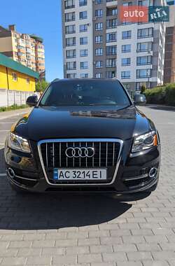 Внедорожник / Кроссовер Audi Q5 2011 в Луцке