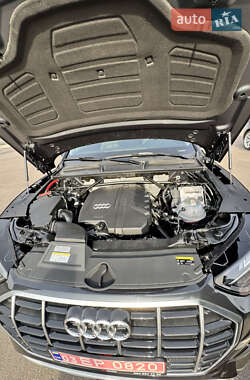 Внедорожник / Кроссовер Audi Q5 2023 в 