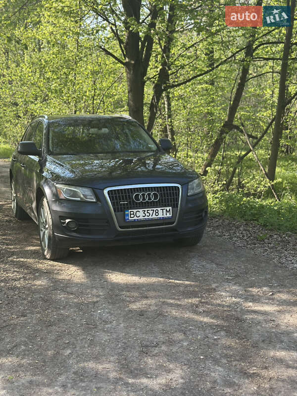 Audi Q5 2010
