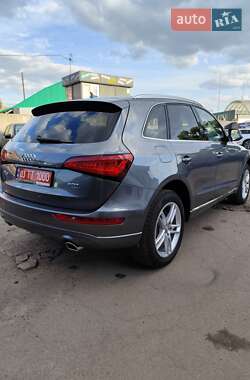Внедорожник / Кроссовер Audi Q5 2013 в 