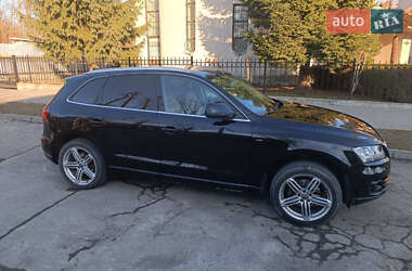Внедорожник / Кроссовер Audi Q5 2010 в Львове