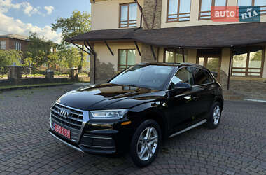Внедорожник / Кроссовер Audi Q5 2019 в 
