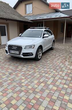 Внедорожник / Кроссовер Audi Q5 2017 в 