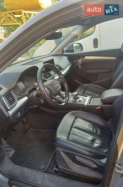 Внедорожник / Кроссовер Audi Q5 2019 в 