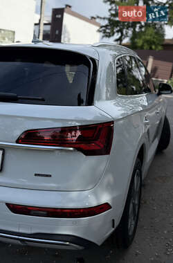 Внедорожник / Кроссовер Audi Q5 2023 в 