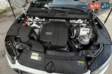 Внедорожник / Кроссовер Audi Q5 2023 в 