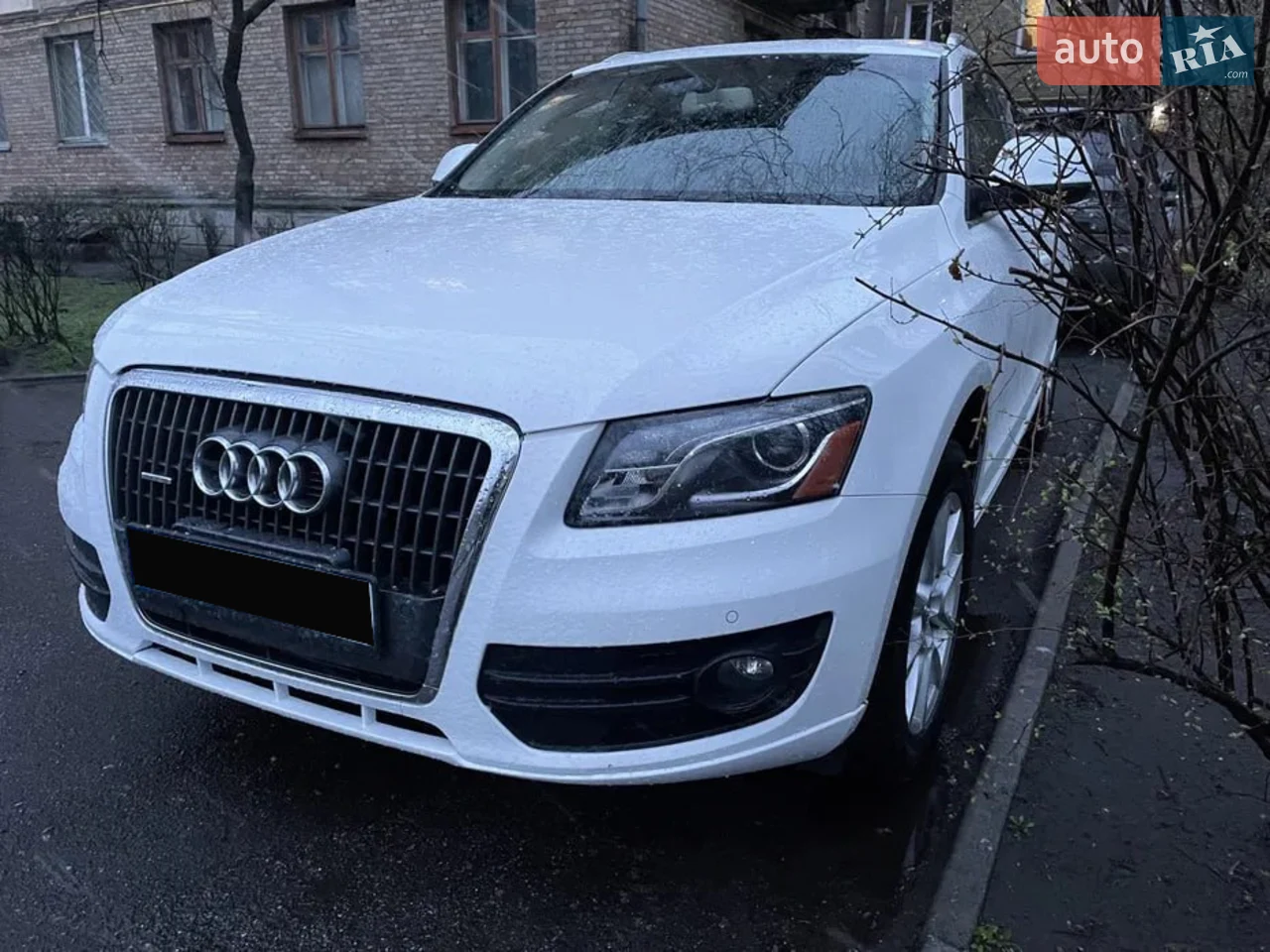 2010 Audi Q5 - мініатюра 16