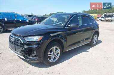 Внедорожник / Кроссовер Audi Q5 2023 в 