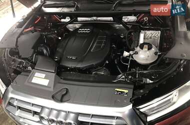 Внедорожник / Кроссовер Audi Q5 2020 в 
