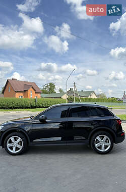 Внедорожник / Кроссовер Audi Q5 2019 в 