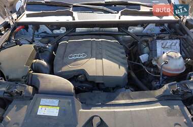 Внедорожник / Кроссовер Audi Q5 2021 в 