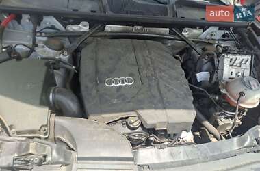Внедорожник / Кроссовер Audi Q5 2021 в 