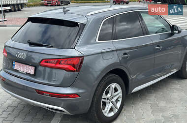 Внедорожник / Кроссовер Audi Q5 2019 в 