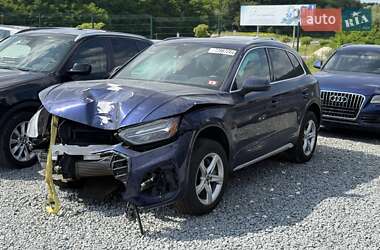 Внедорожник / Кроссовер Audi Q5 2021 в 