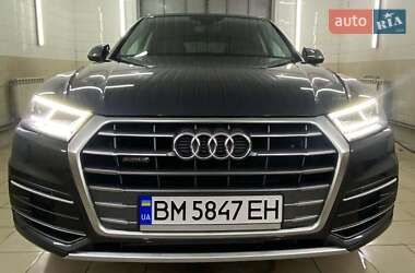 Внедорожник / Кроссовер Audi Q5 2019 в Киеве