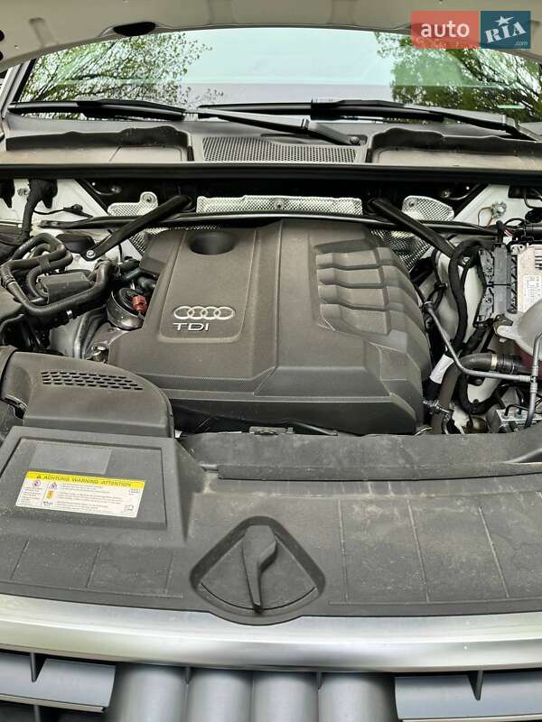 Внедорожник / Кроссовер Audi Q5 2019 в Нежине фото 17 Внедорожник / Кроссовер Audi Q5 2019 в Нежине