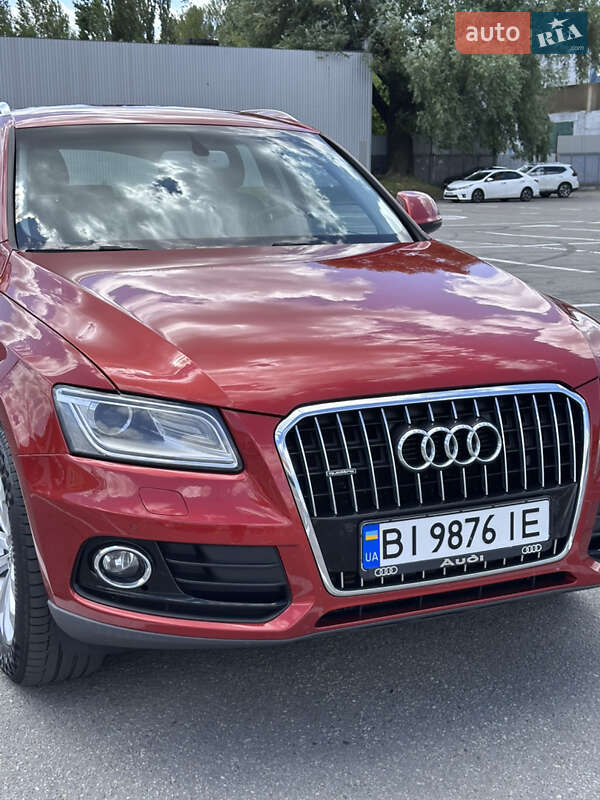 Внедорожник / Кроссовер Audi Q5 2014 в Решетиловке