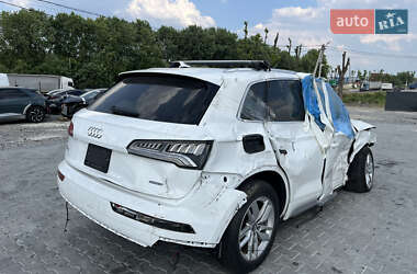 Внедорожник / Кроссовер Audi Q5 2019 в 