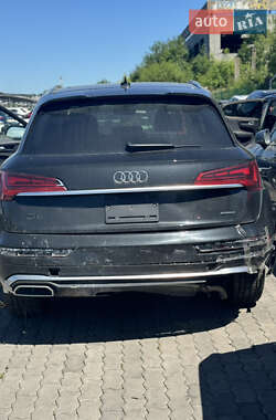 Внедорожник / Кроссовер Audi Q5 2023 в 
