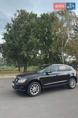 Внедорожник / Кроссовер Audi Q5 2010 в 
