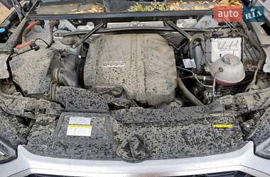Внедорожник / Кроссовер Audi Q5 2022 в 