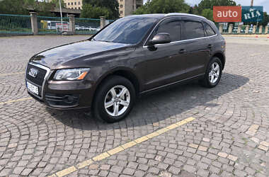 Внедорожник / Кроссовер Audi Q5 2010 в Ужгороде