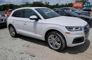 Внедорожник / Кроссовер Audi Q5 2019 в 